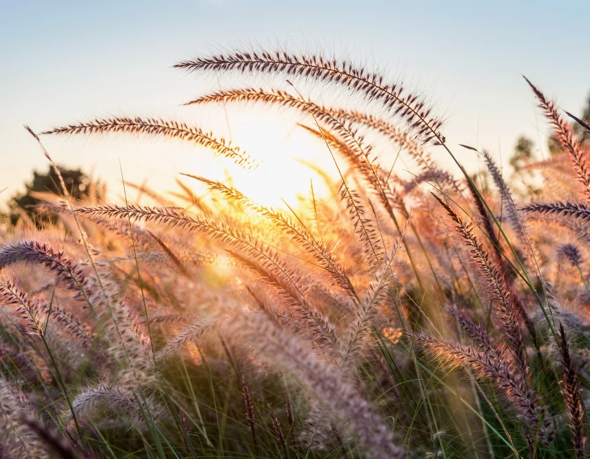 Räume für Ruhe schaffen